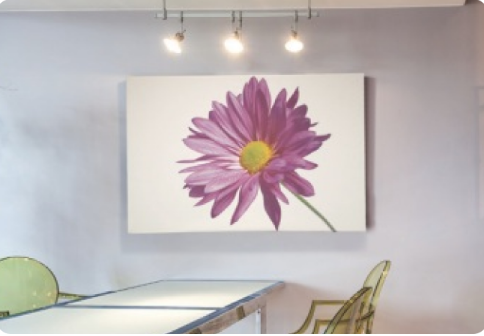 Canvas Prints